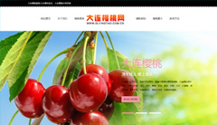 大连樱桃网
