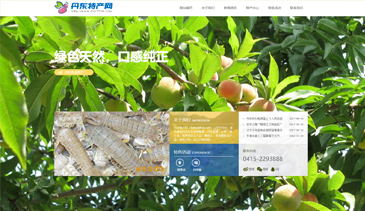 丹东特产网