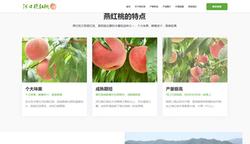 河口燕红桃